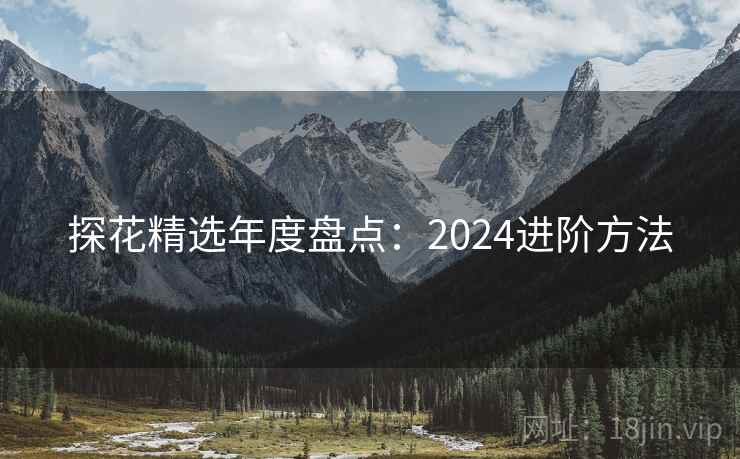 探花精选年度盘点：2024进阶方法