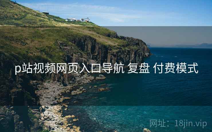 p站视频网页入口导航 复盘 付费模式