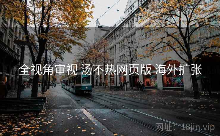 全视角审视 汤不热网页版 海外扩张