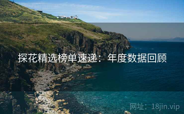 探花精选榜单速递：年度数据回顾