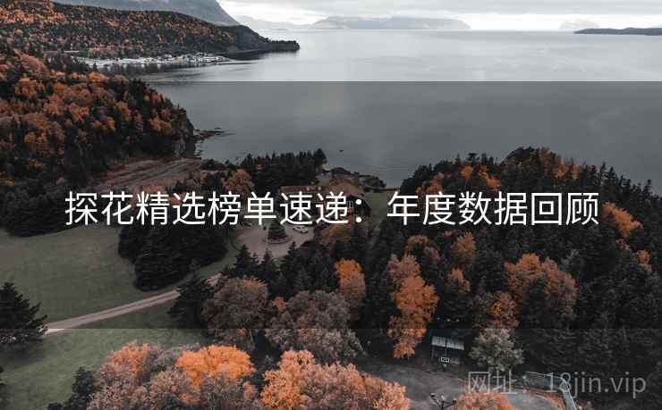 探花精选榜单速递：年度数据回顾