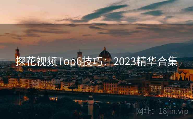 探花视频Top6技巧：2023精华合集