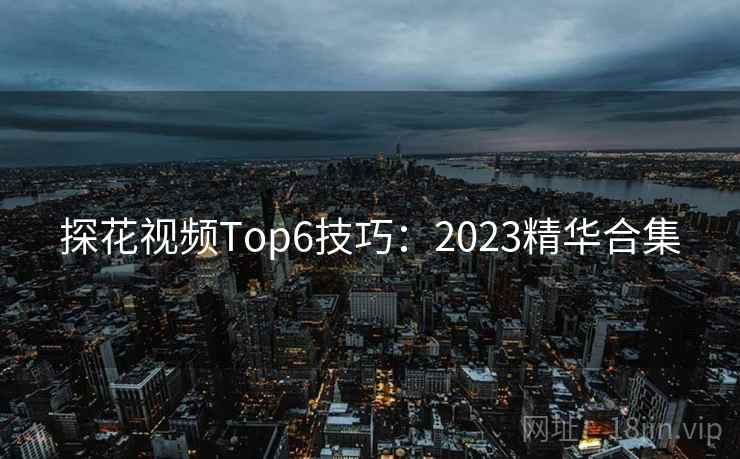 探花视频Top6技巧：2023精华合集