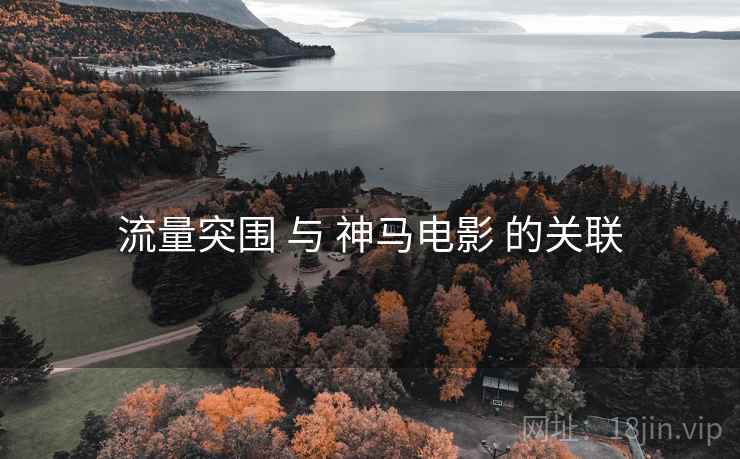 流量突围 与 神马电影 的关联