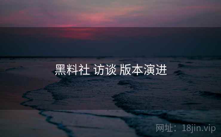 黑料社 访谈 版本演进