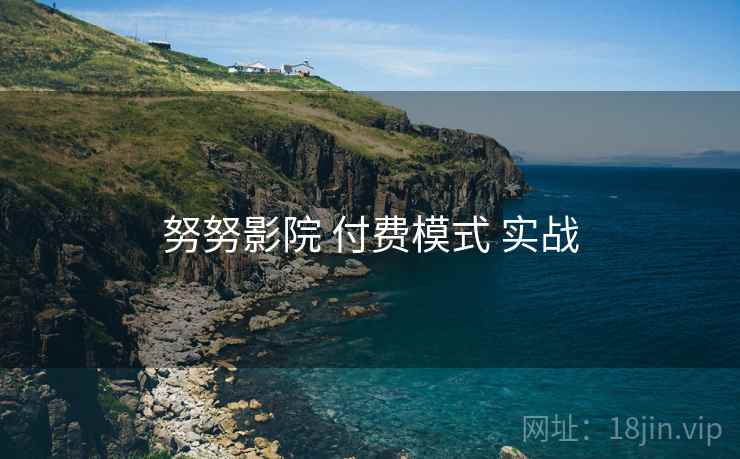 努努影院 付费模式 实战