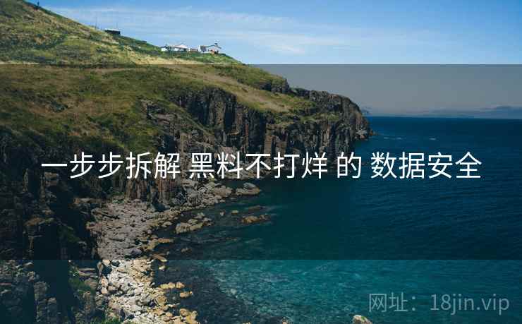 一步步拆解 黑料不打烊 的 数据安全