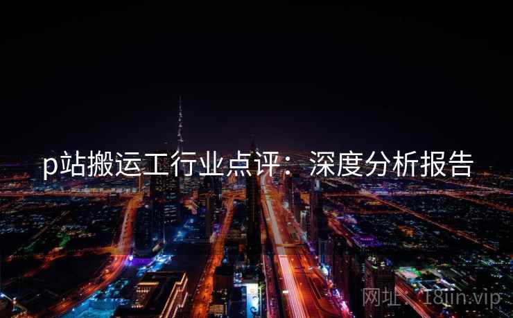 p站搬运工行业点评：深度分析报告