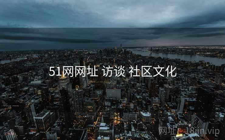 51网网址 访谈 社区文化