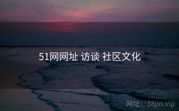 51网网址 访谈 社区文化