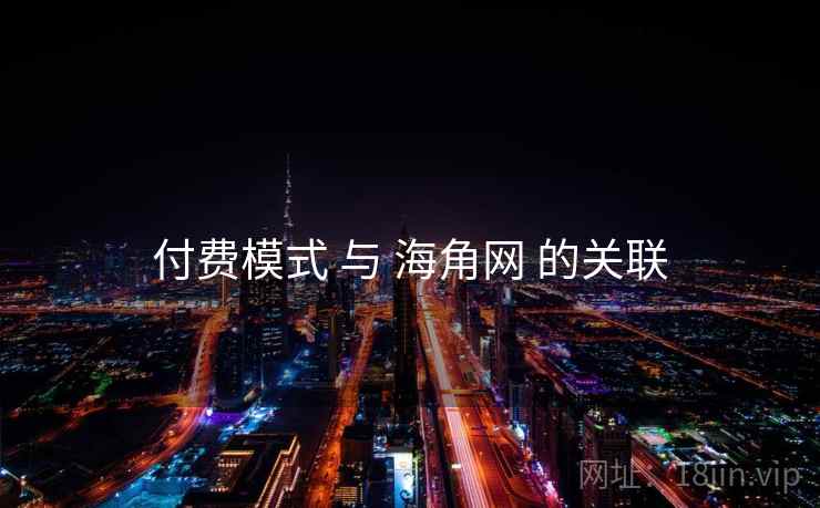 付费模式 与 海角网 的关联