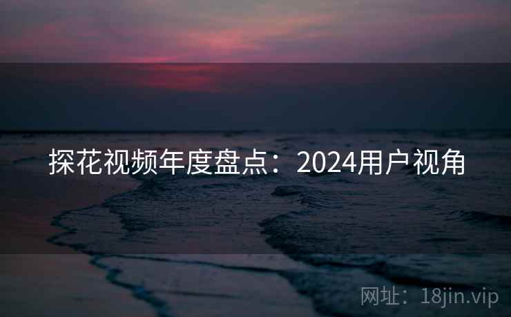 探花视频年度盘点：2024用户视角