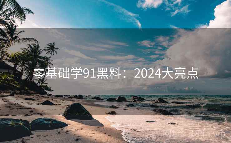 零基础学91黑料：2024大亮点