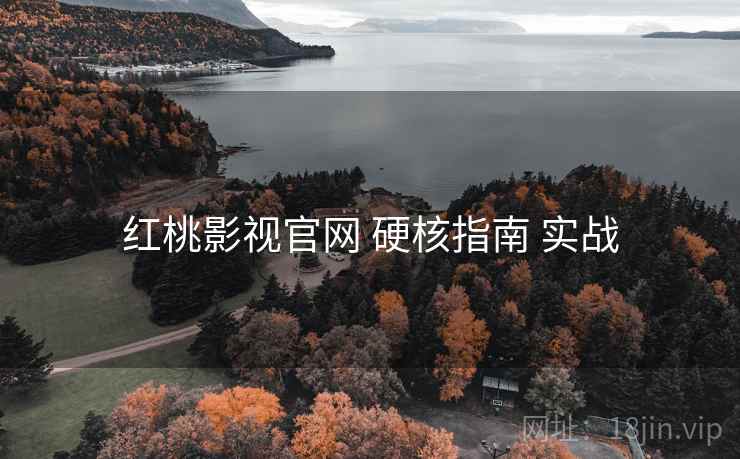 红桃影视官网 硬核指南 实战