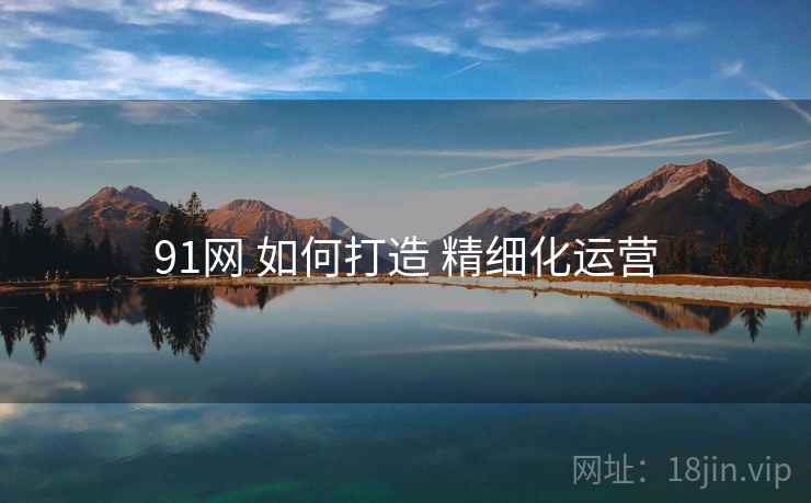 91网 如何打造 精细化运营