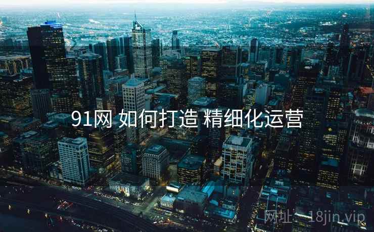 91网 如何打造 精细化运营