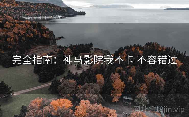 完全指南：神马影院我不卡 不容错过
