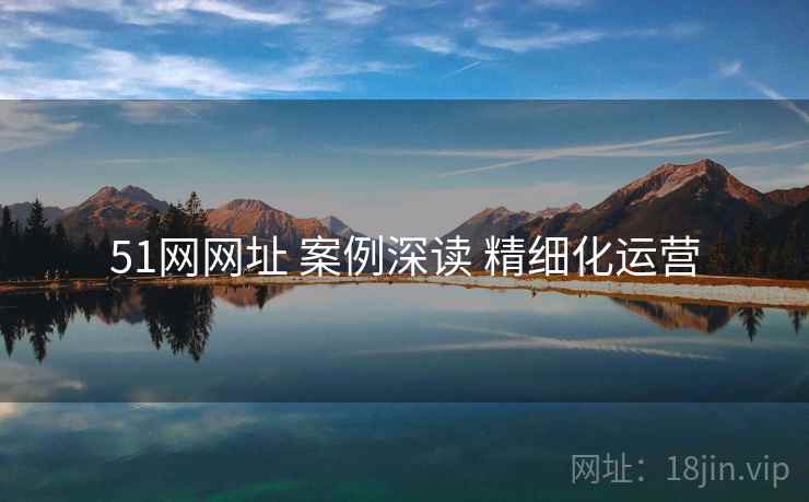 51网网址 案例深读 精细化运营