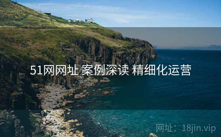 51网网址 案例深读 精细化运营