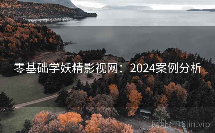 零基础学妖精影视网：2024案例分析