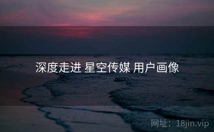 深度走进 星空传媒 用户画像